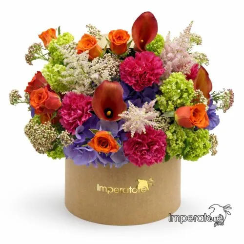 Box di fiori misti colorati