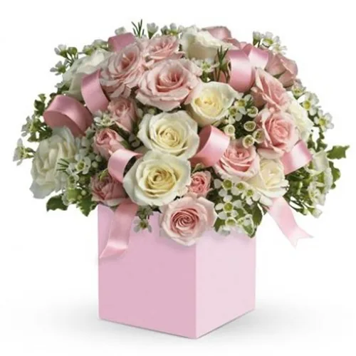 Box rosa con rose color cipria