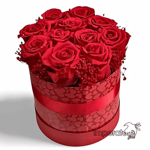 Box di rose rosse stabilizzate